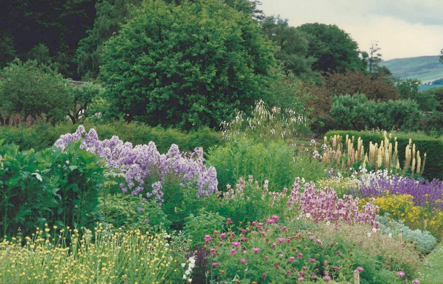 Cotswolds Country House