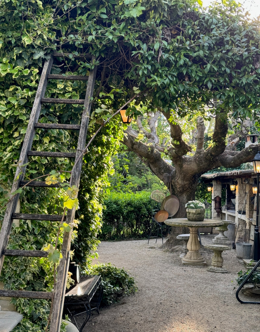 Saint-Rémy Farmhouse