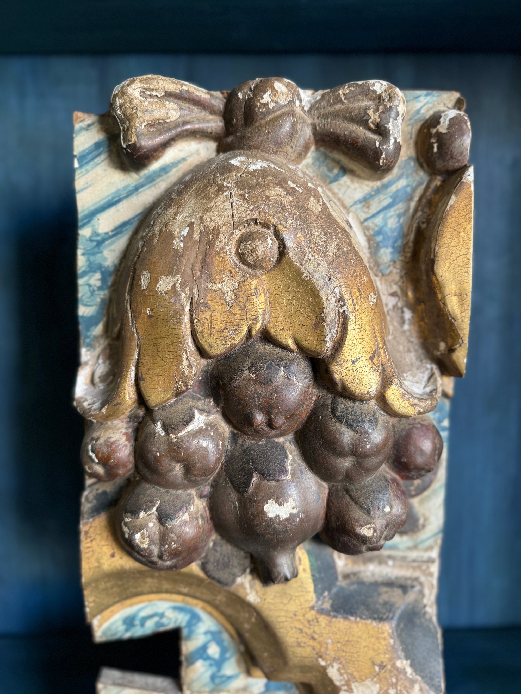 Fruit Fragment