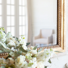 Eugenie Panel Mirror in Toasted Almond Finish