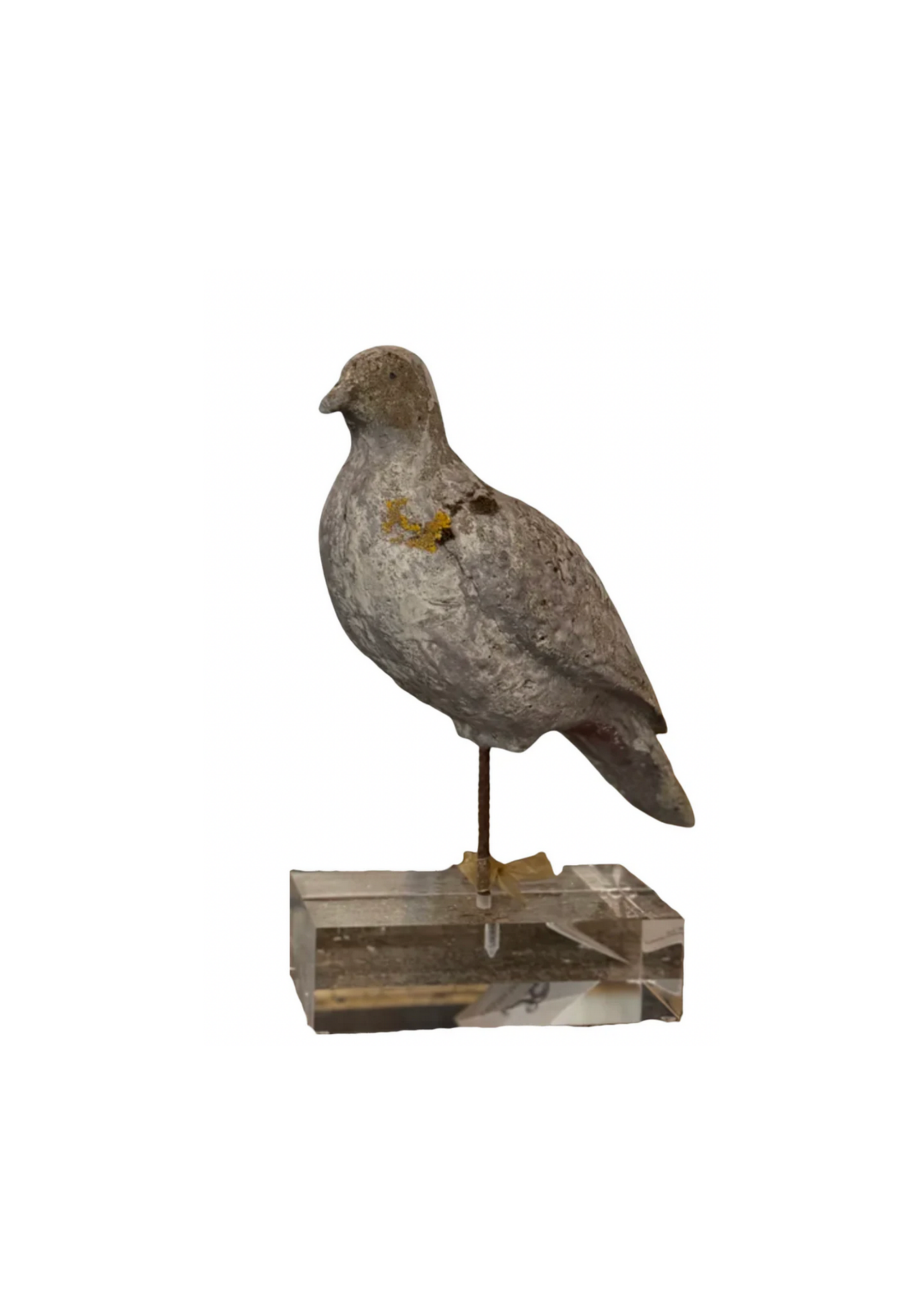 Antique French Garden Dove on Acrylic Stand