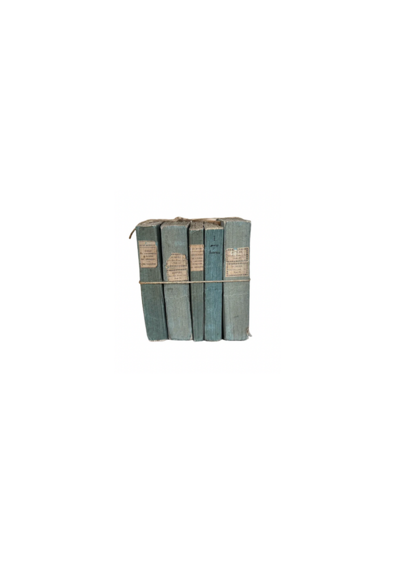 Set of Antique Variegated  Blue Books