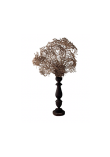 White Gorgonia Mounted on 19th C Candlestick