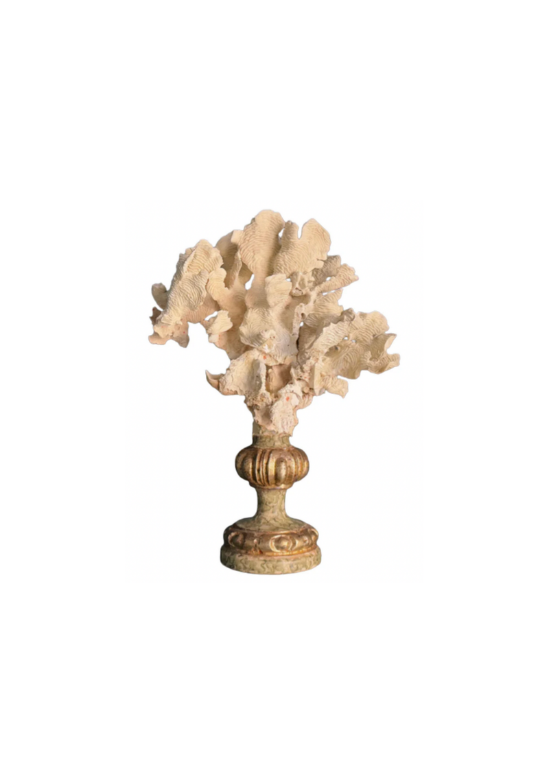 Coral Mounted on Antique Fragment