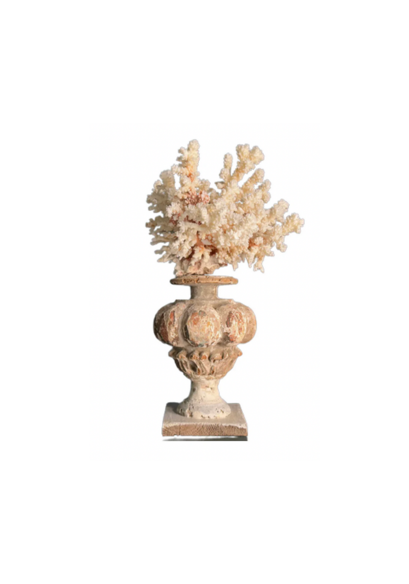 Coral Mounted on Antique Fragment