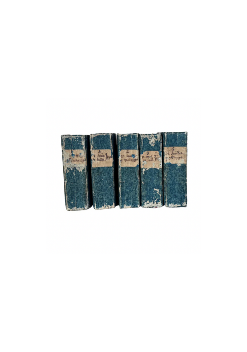 Set of Antique Prussian Blue Books