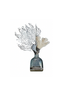 Handscrafted Sculptural Coral and Sea Fan Bottle