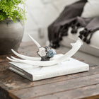 Hand-Embellished Decorative Antler (Large)