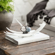 Hand-Embellished Decorative Antler (Large)