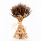 Hallie's Blackbeard Wheat Sheaf