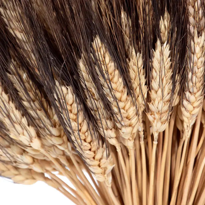 Hallie's Blackbeard Wheat Sheaf