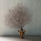 18th C Gold Palm Holder with Gorgonia