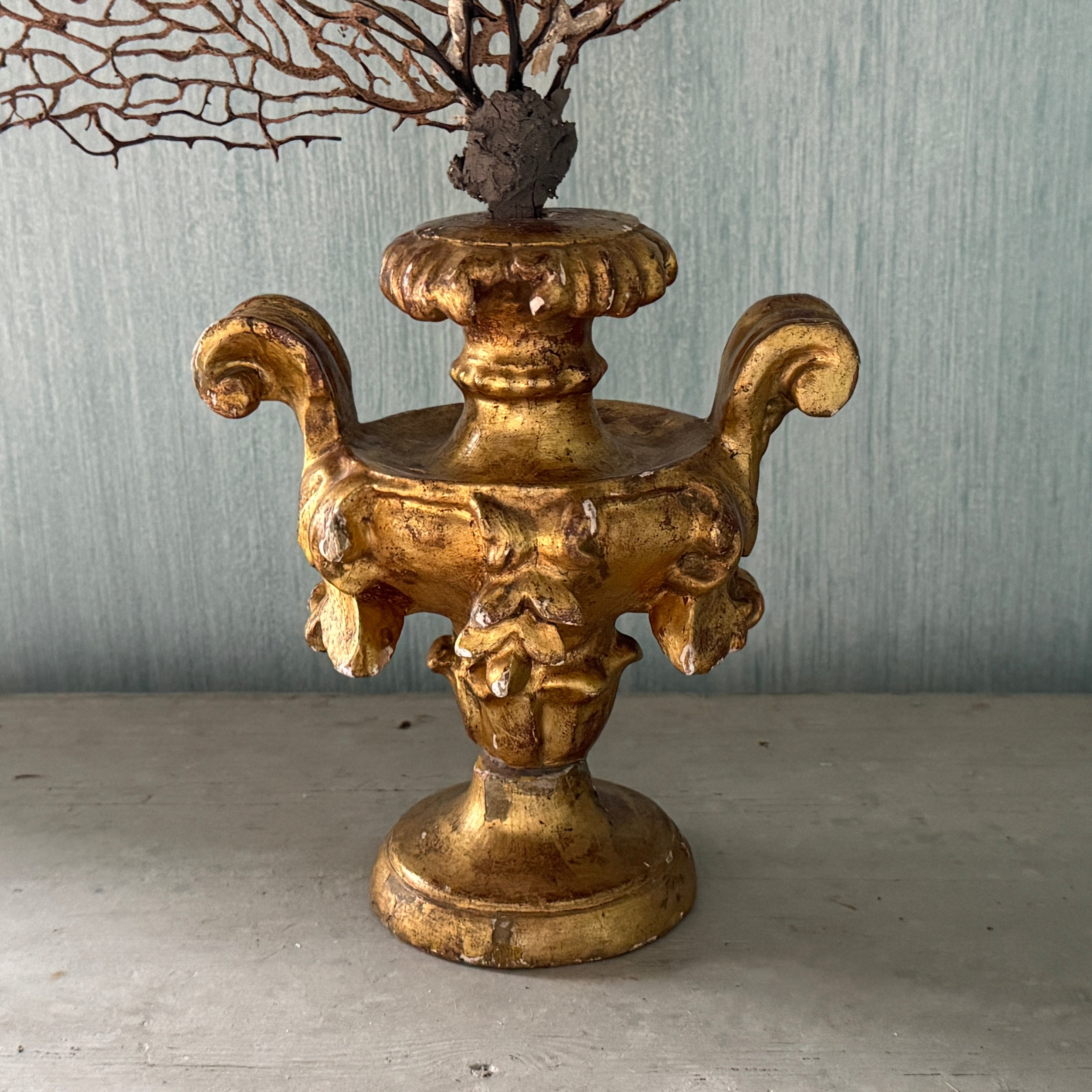 18th C Gold Palm Holder with Gorgonia