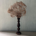 White Gorgonia Mounted on 19th C Candlestick