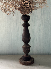 White Gorgonia Mounted on 19th C Candlestick