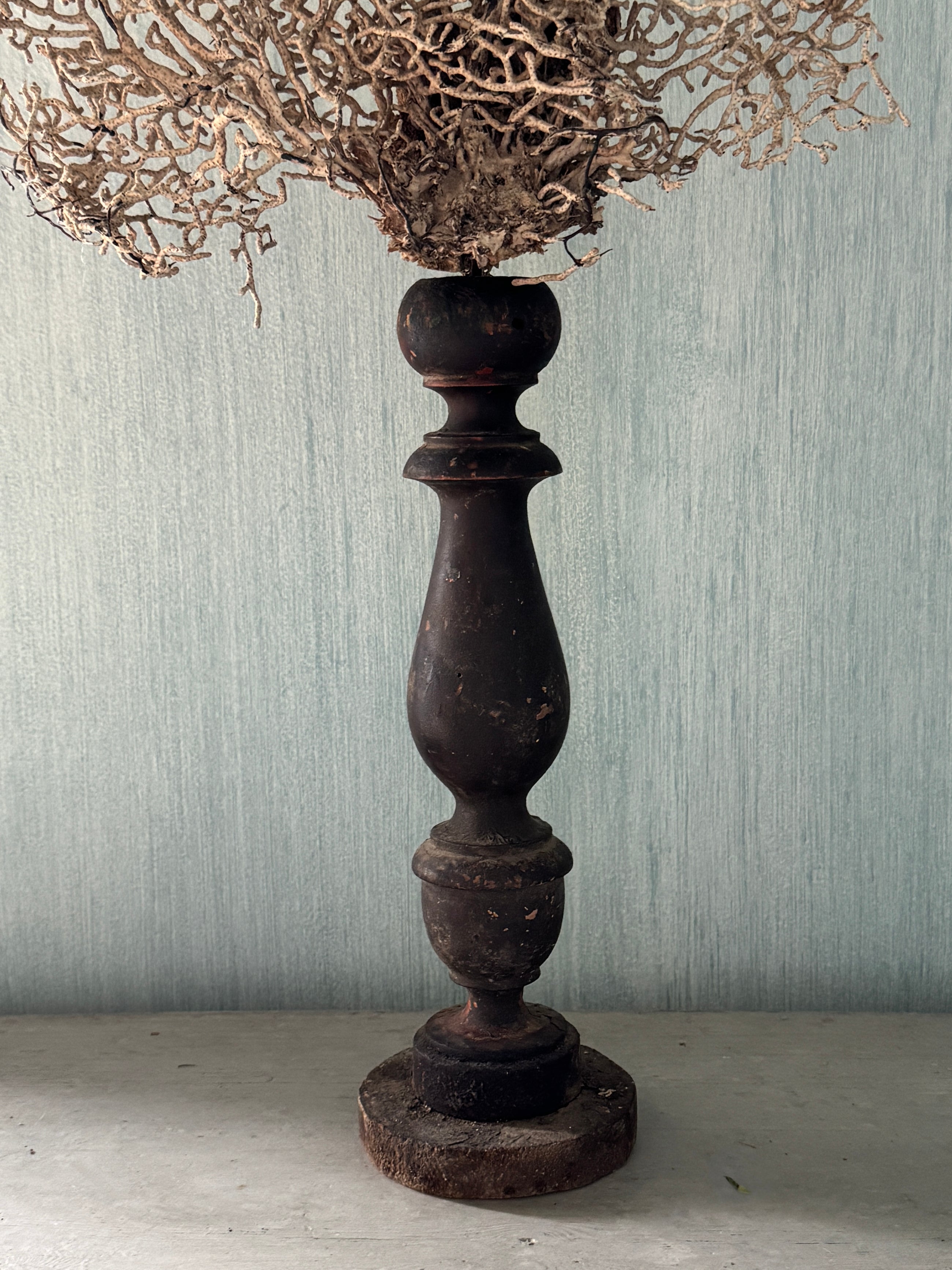 White Gorgonia Mounted on 19th C Candlestick