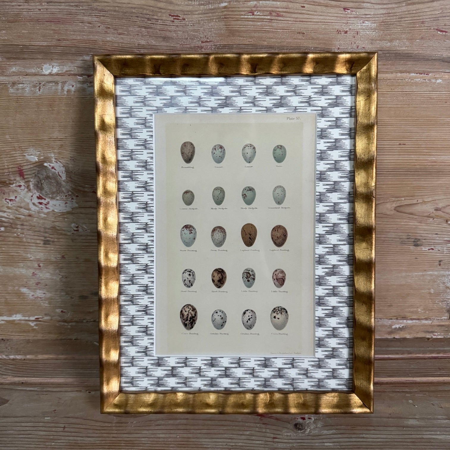 Framed Antique Egg Print with Wicker-Patterned Wallpaper Mat