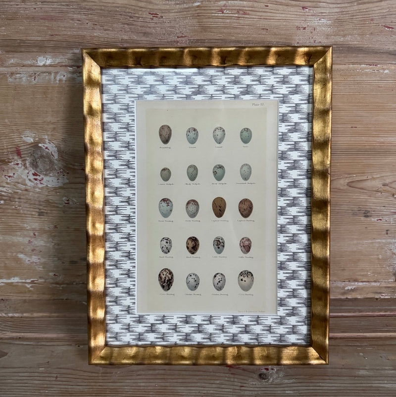 Framed Antique Egg Print with Wicker-Patterned Wallpaper Mat