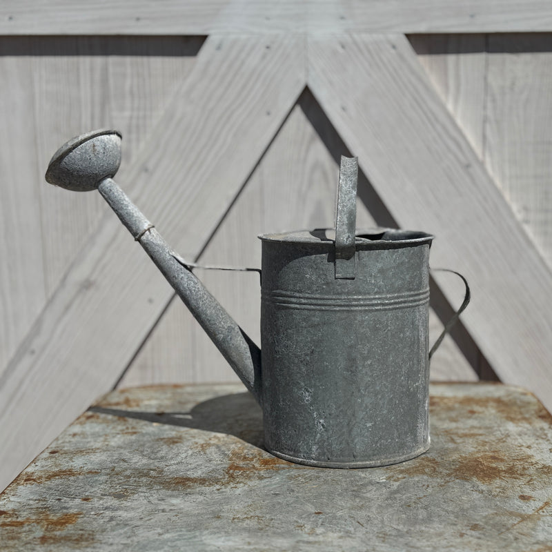 Found European Zinc Watering Can