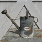 Found European Zinc Watering Can