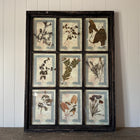 French Pressed Botanical Grouping in Distressed Frame