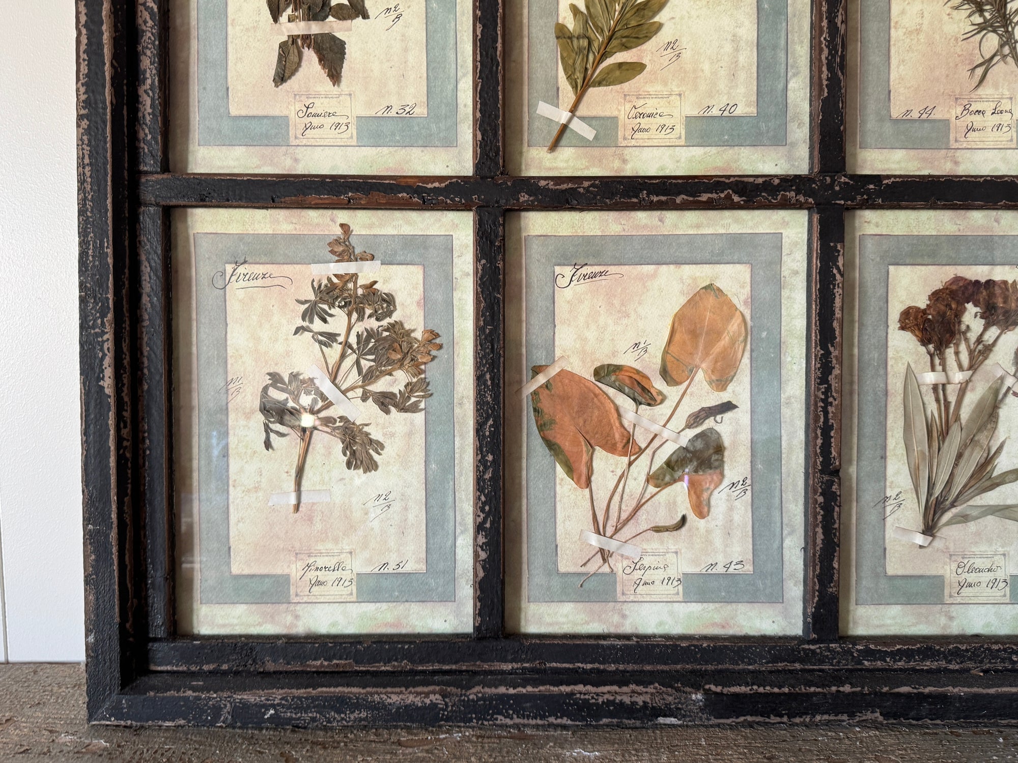 French Pressed Botanical Grouping in Distressed Frame