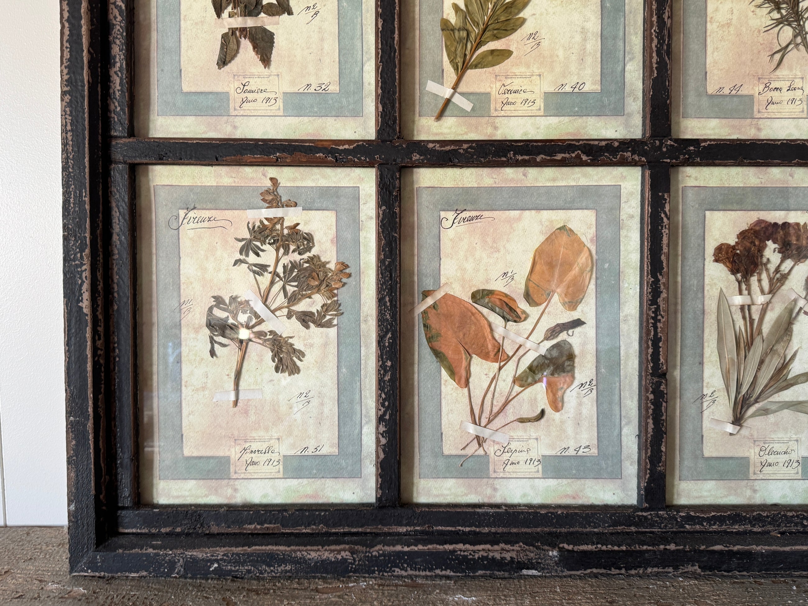 French Pressed Botanical Grouping in Distressed Frame