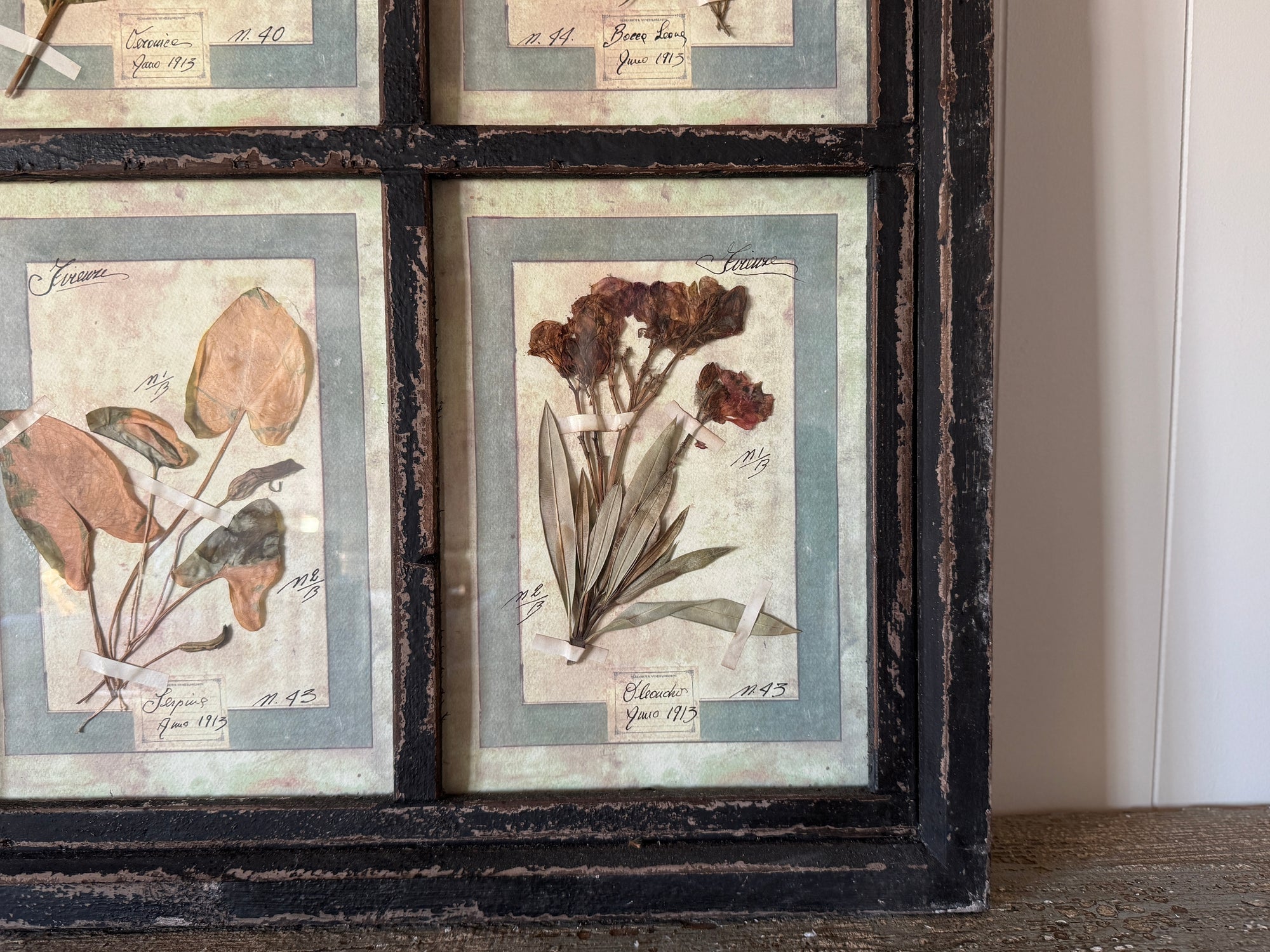 French Pressed Botanical Grouping in Distressed Frame