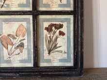 French Pressed Botanical Grouping in Distressed Frame