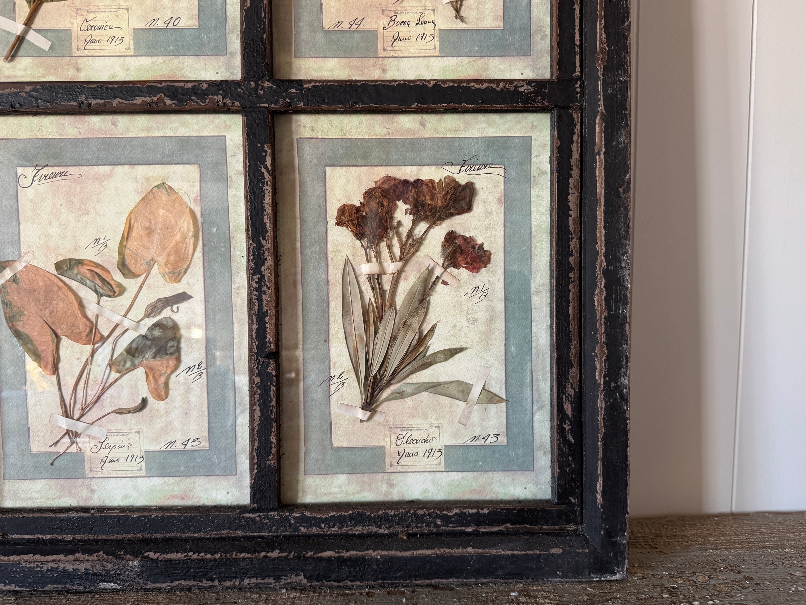 French Pressed Botanical Grouping in Distressed Frame