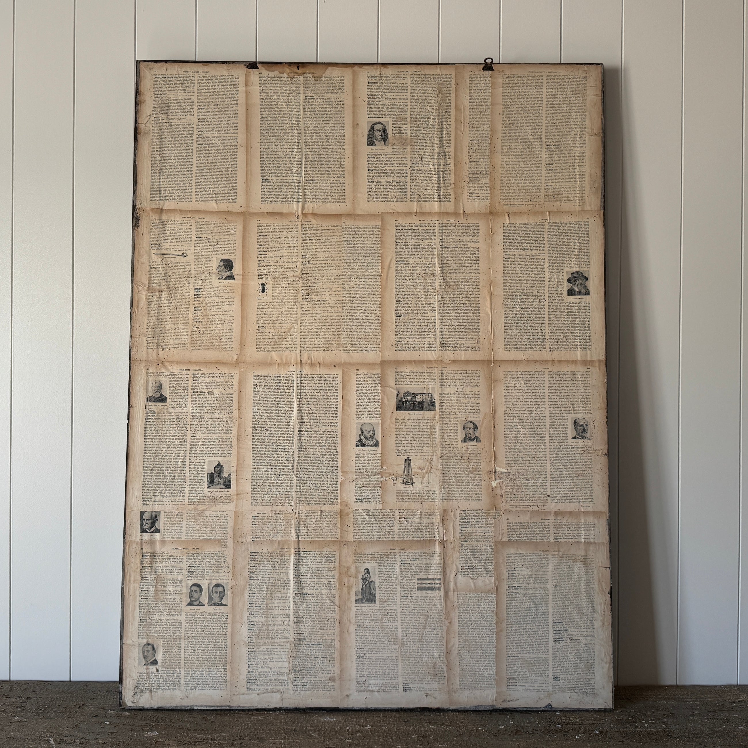 French Pressed Botanical Grouping in Distressed Frame