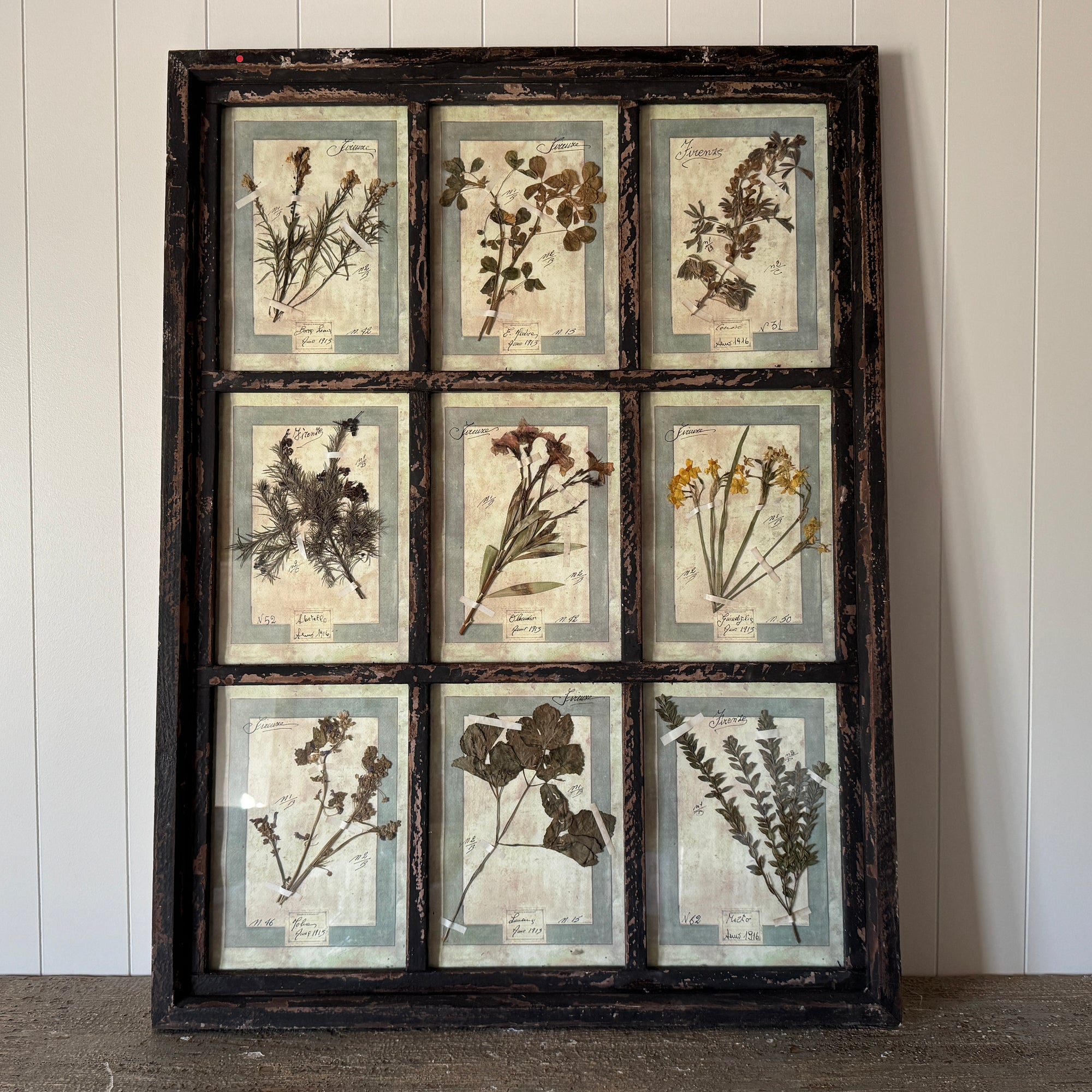 French Pressed Botanical Grouping in Distressed Frame