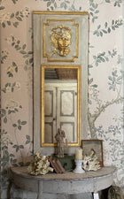 Pair of Antique French Gilt Trumeau Mirrors