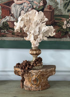 Coral Mounted on Antique Fragment