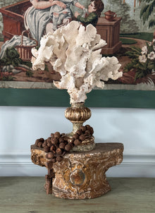 Coral Mounted on Antique Fragment