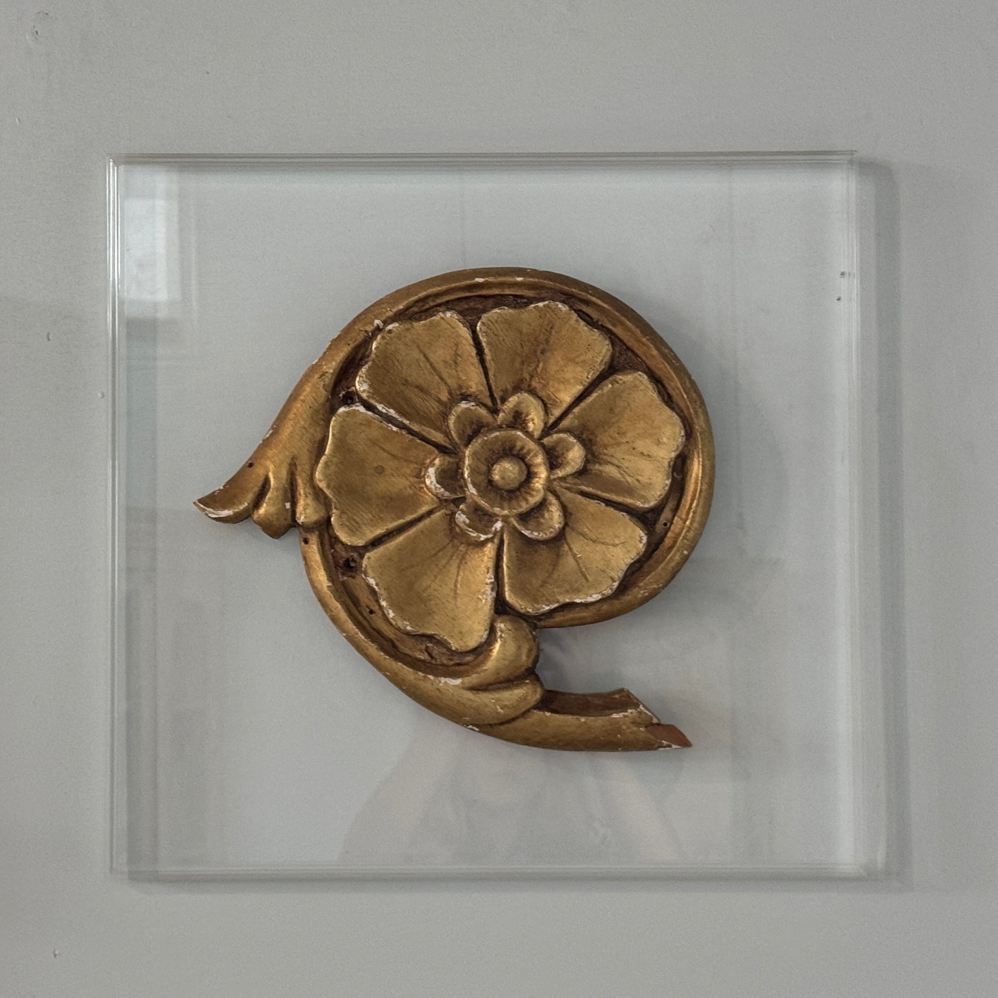 Gilt Flower Fragment on Acrylic Plaque