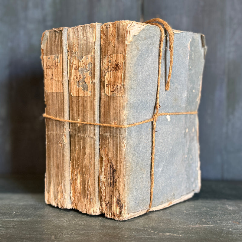 Set of 3 Antique Blue Paperback Books