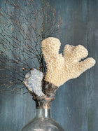 Handscrafted Sculptural Coral and Sea Fan Bottle
