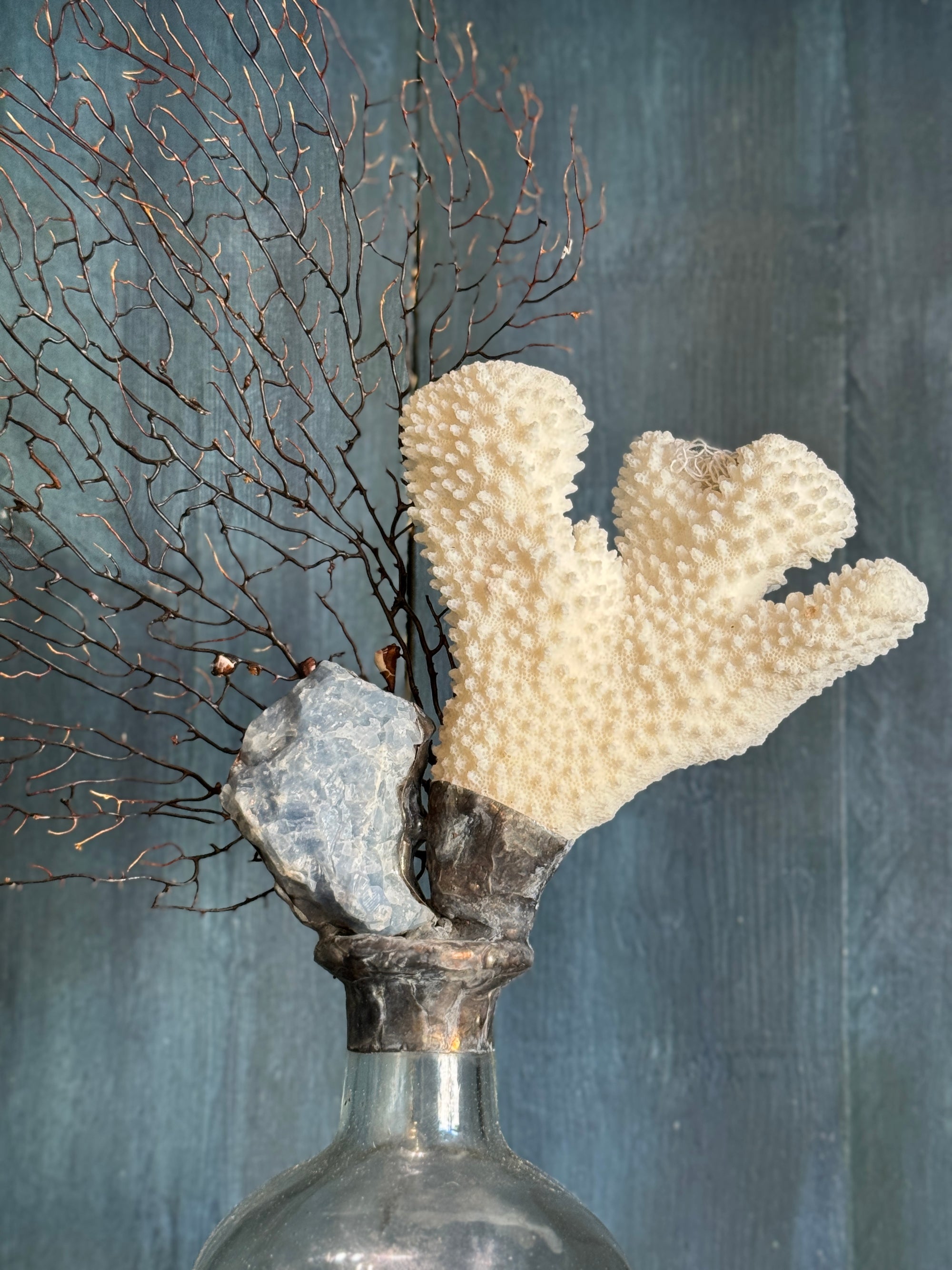 Handscrafted Sculptural Coral and Sea Fan Bottle