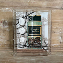 Framed Intaglio Shadowbox on Manuel Canovas Fabric