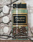 Framed Intaglio Shadowbox on Manuel Canovas Fabric