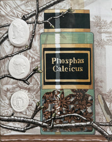 Framed Intaglio Shadowbox on Manuel Canovas Fabric