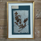 Set of 4 Striking 19th C Prussian Blue Pressed French Botanical Specimens