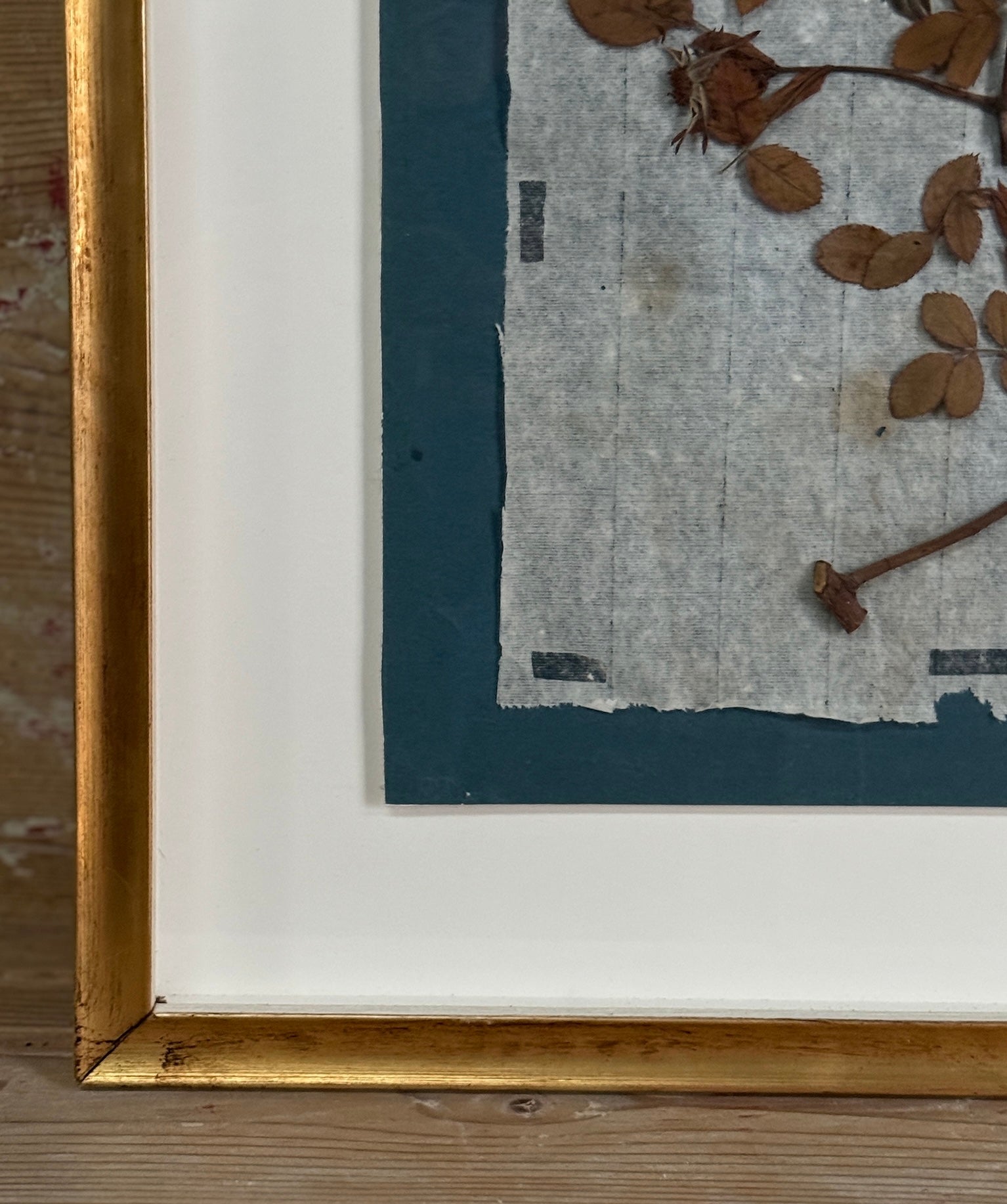 Set of 4 Striking 19th C Prussian Blue Pressed French Botanical Specimens