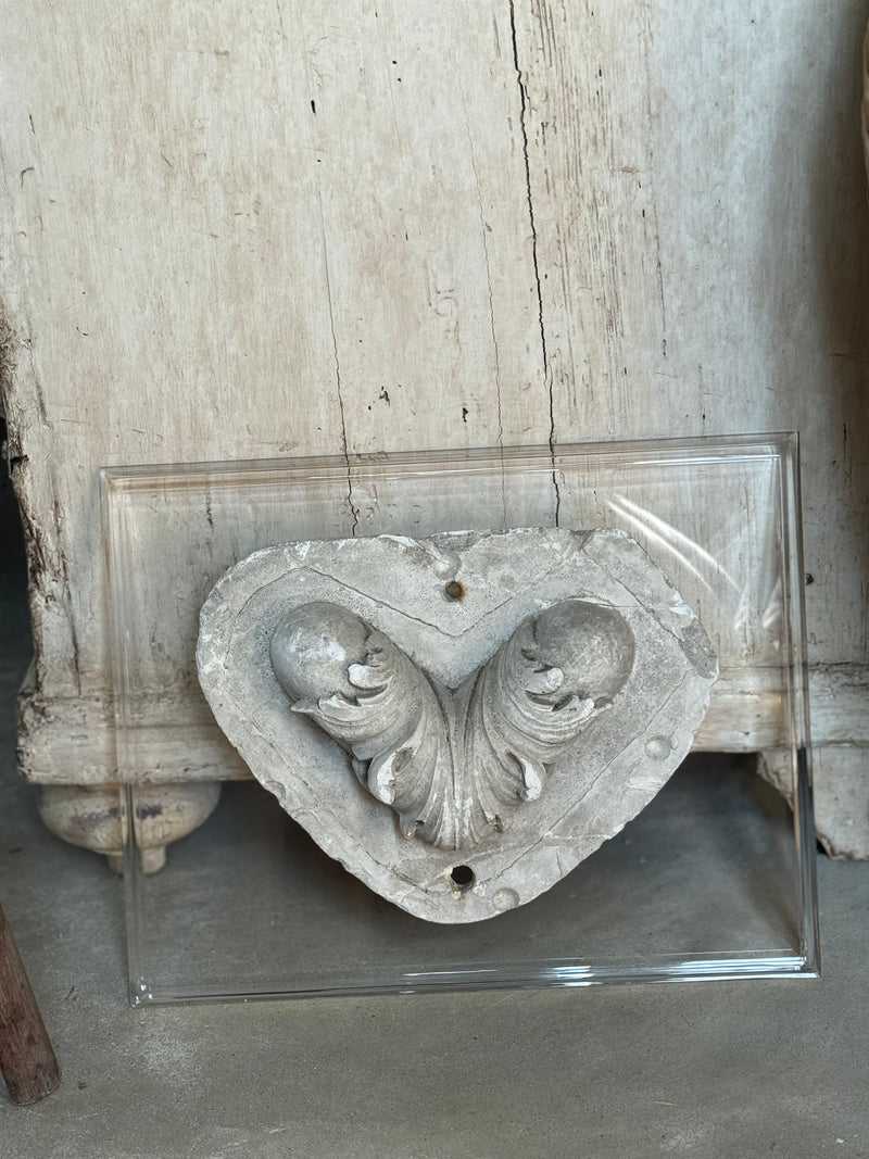 19th c plaster mold on Acrylic