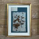 Set of 4 Striking 19th C Prussian Blue Pressed French Botanical Specimens