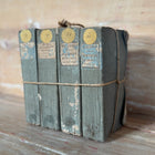 Antique Histoire de France Books, (sets of 4)