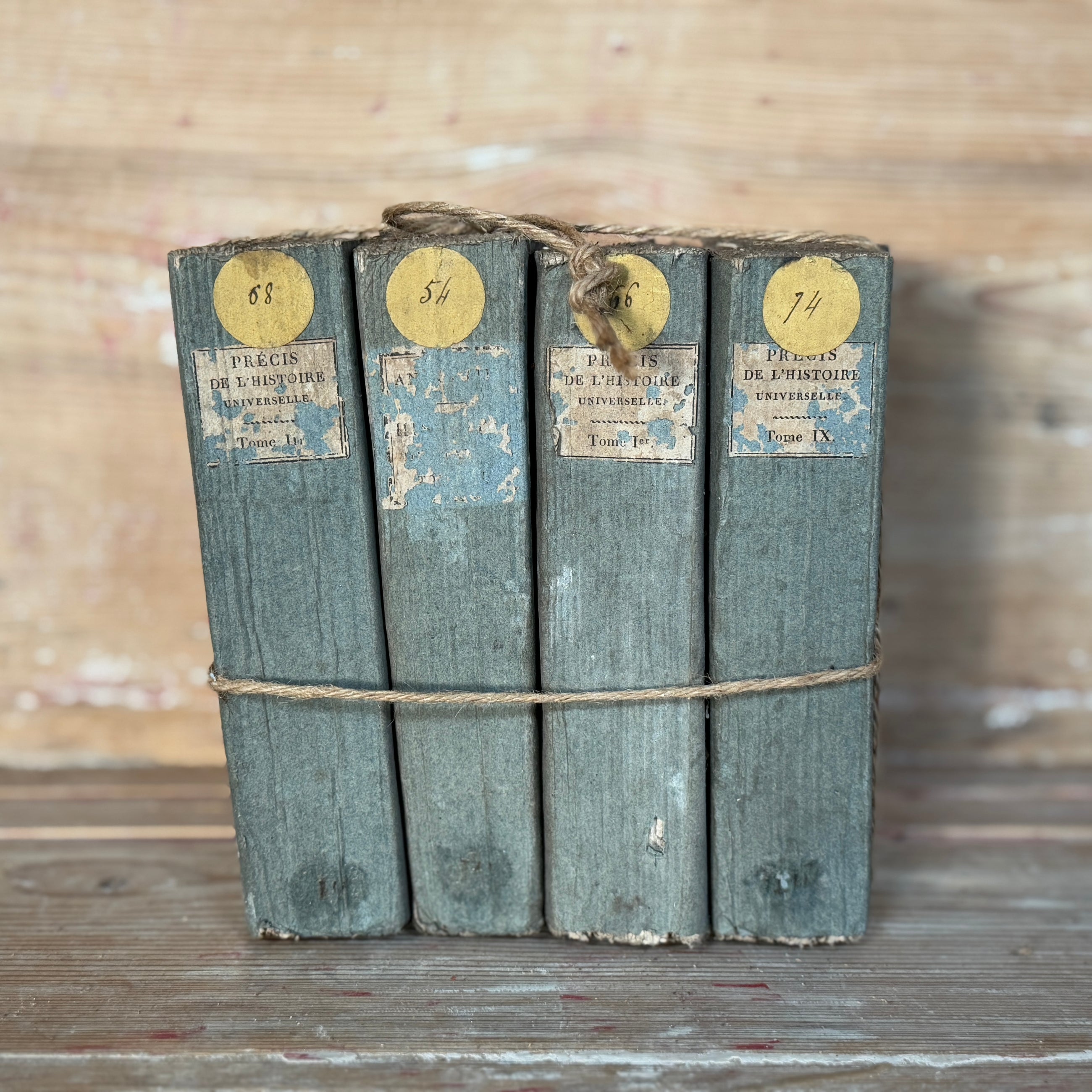Antique Histoire de France Books, (sets of 4)