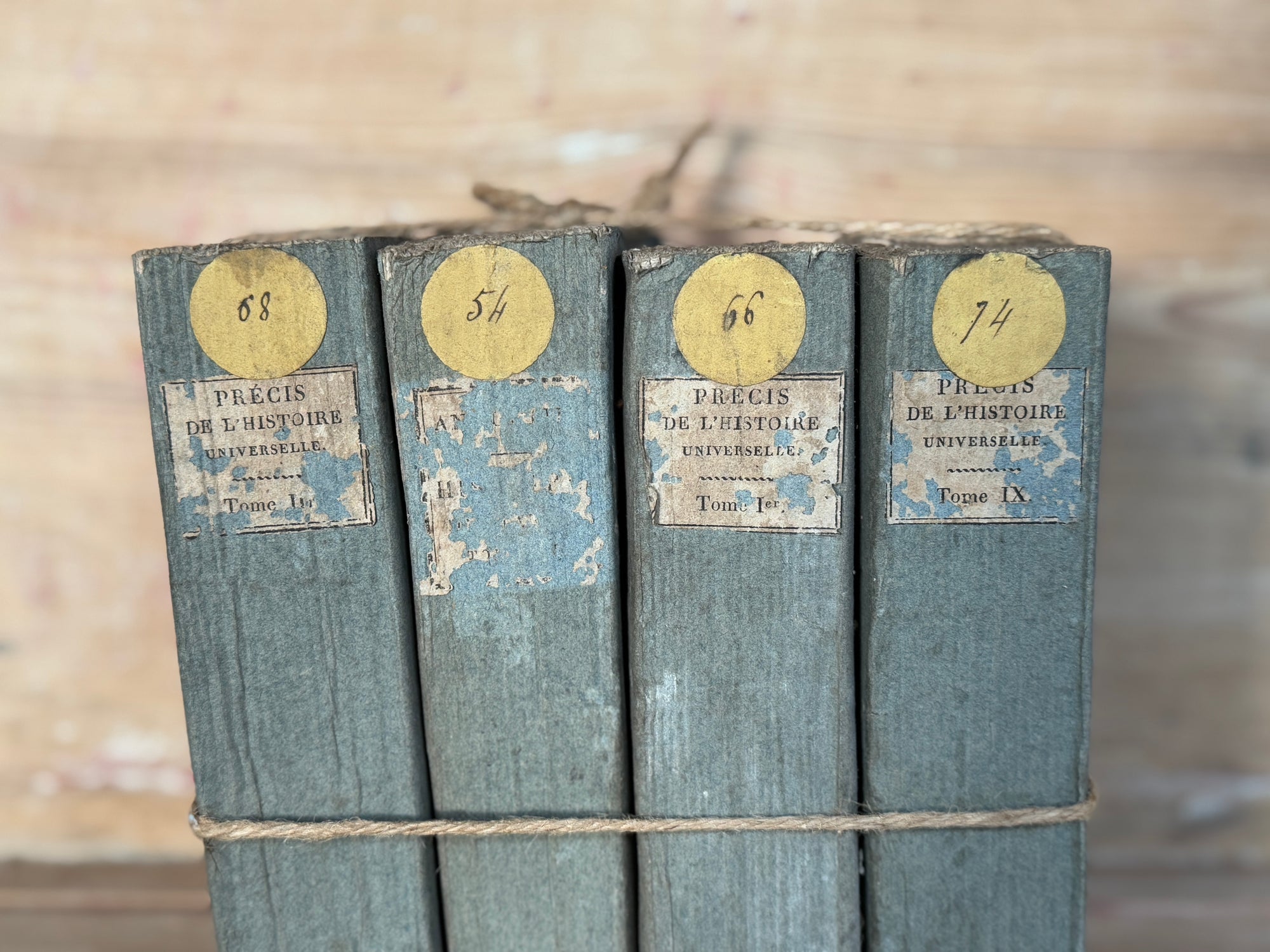 Antique Histoire de France Books, (sets of 4)