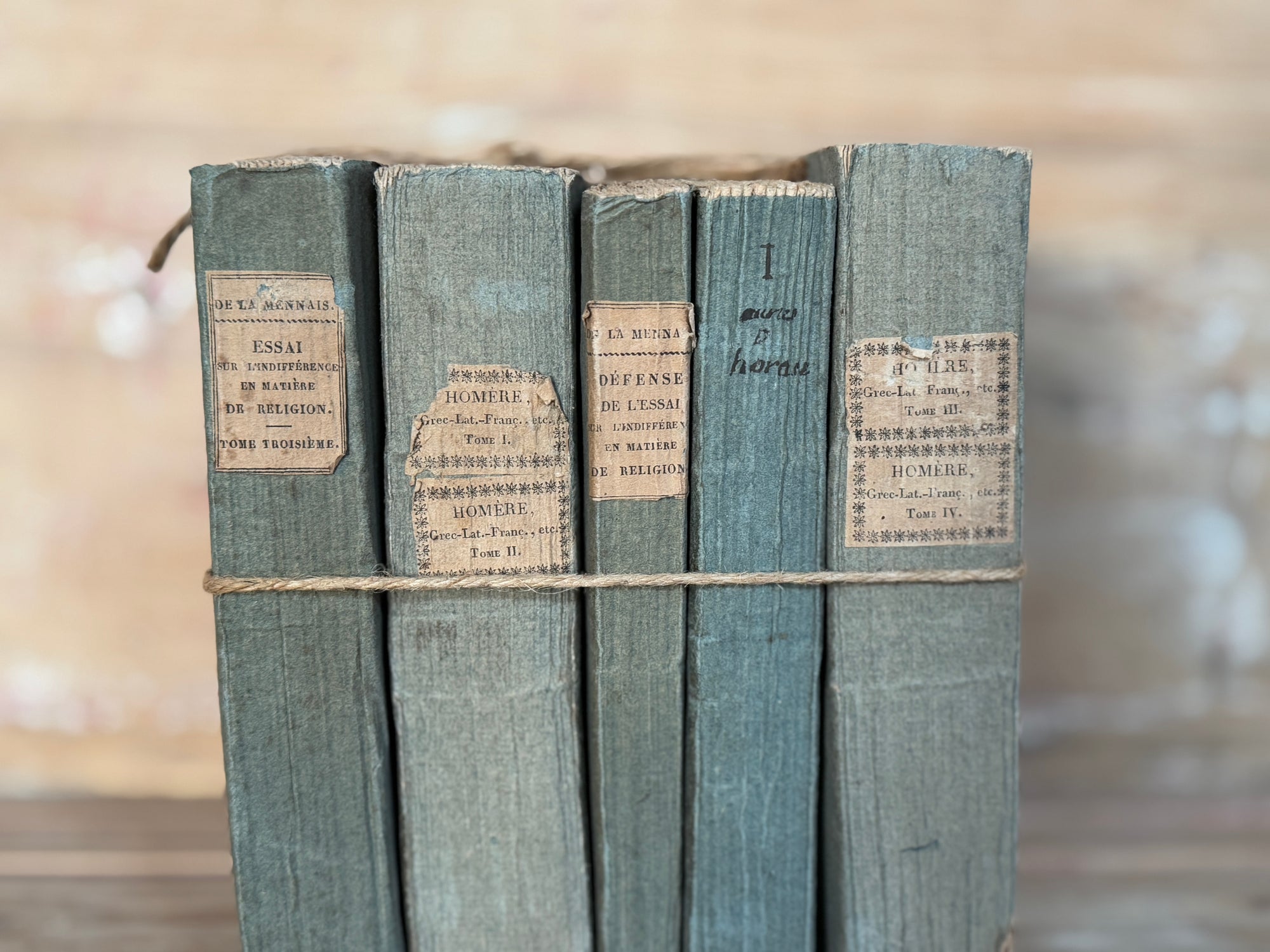Set of Antique Variegated  Blue Books